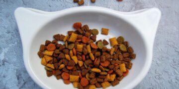 20 Best Dog Food For Sensitive Stomach