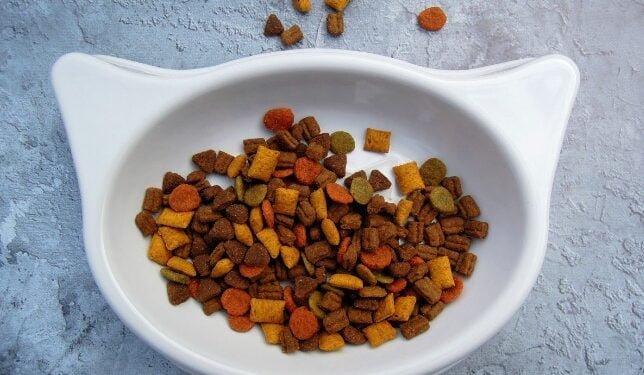 20 Best Dog Food For Sensitive Stomach