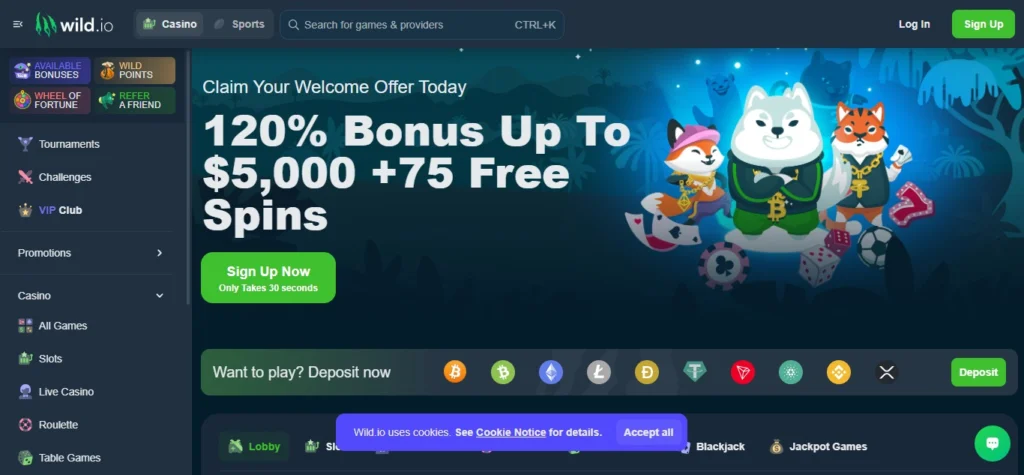 Wild.io (Best Crypto Casino In South Africa)