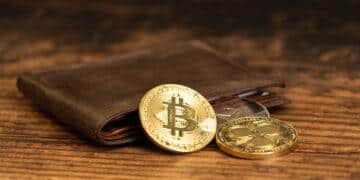 10 Best Zoracles Wallets in 2024