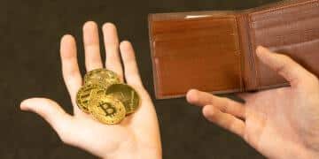 10 Best HEX Crypto Wallets