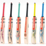 30 Best Cricket Bat Company