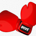 30 Women Boxers In The World