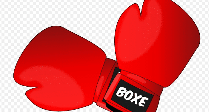 30 Women Boxers In The World