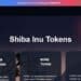 How To Buy Shiba Inu Coin In Coindcx