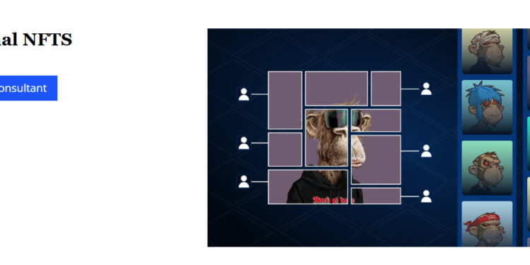 How To Fractionally Own NFTs – A Beginner’s Guide