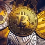 Who Are Crypto Whales?