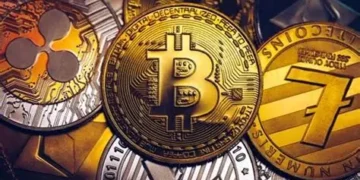 Who Are Crypto Whales?