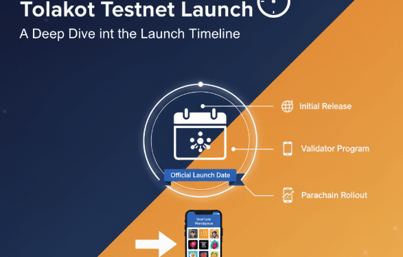 When Did the Polkadot Testnet Launch? Key Timeline & Facts