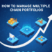 How To Manage Multiple Chain Portfolios