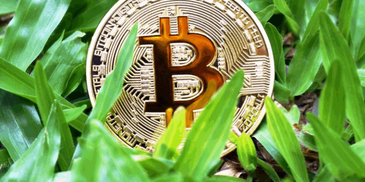 How Bitcoin Ranks Among Digital Currencies Today