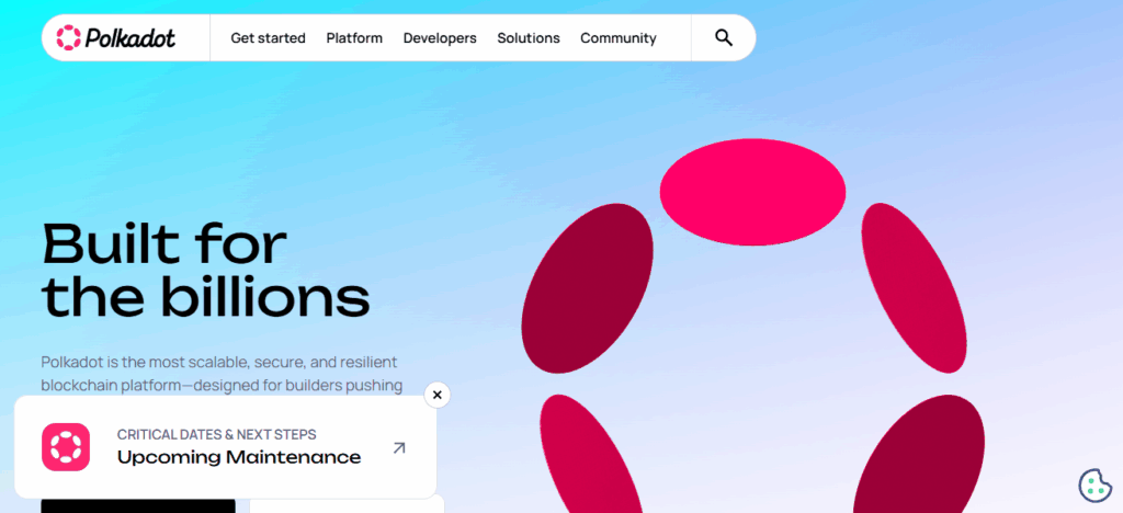 Polkadot