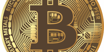 Where to Stake Stablecoins for Daily Payouts & Passive Income