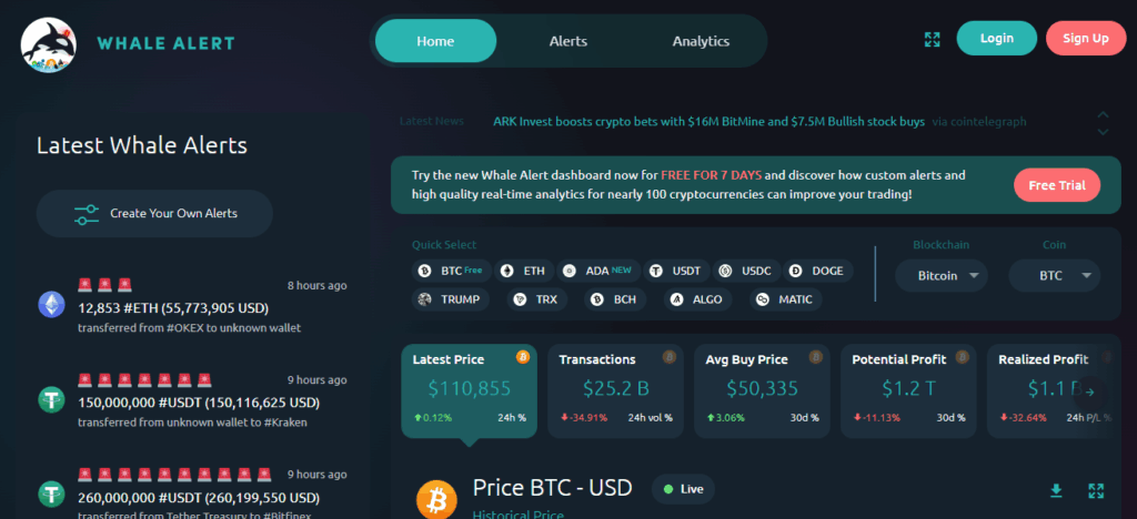 Who Are Crypto Whales?