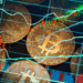 Is Staking Crypto Halal​? A Sharia Perspective Explained