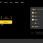 10 Best Binance India Alternatives: Top Crypto Exchanges 2025