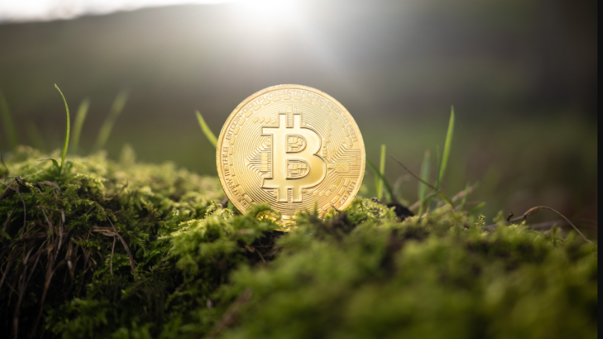 Benefits of Crypto Sharding