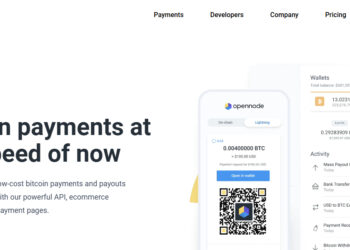10 Top OpenNode Alternatives - For Secure Crypto Payments 2025