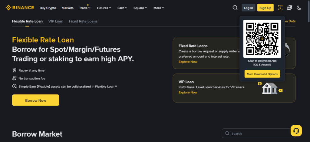 Binance Loans