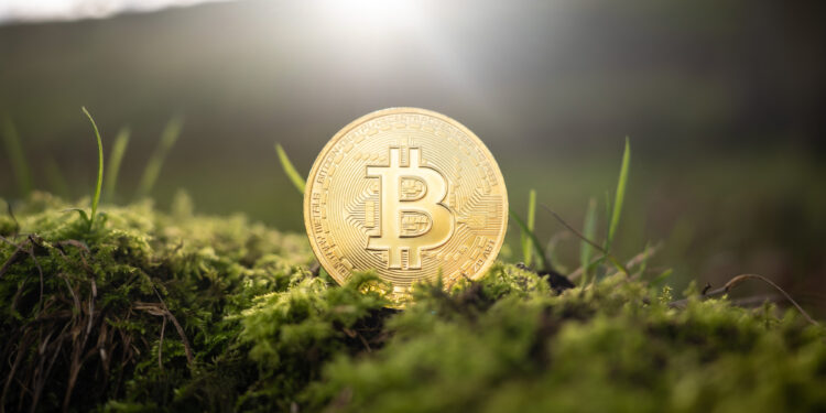 10 Best Privacy FHE Tokens for Secure Crypto Future Now