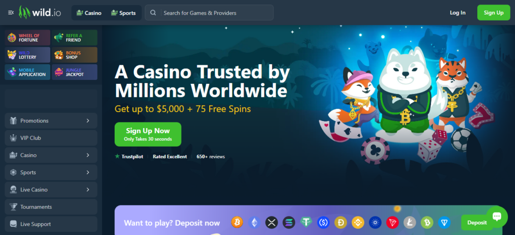 Wild.io Casino
