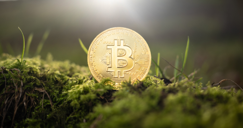 Investing without research
