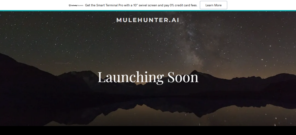 MuleHunter.AI