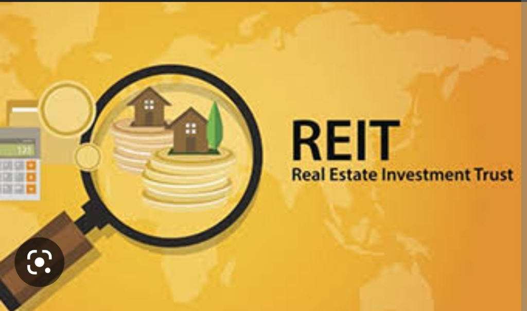  Real Estate Investment Trusts (REITs)