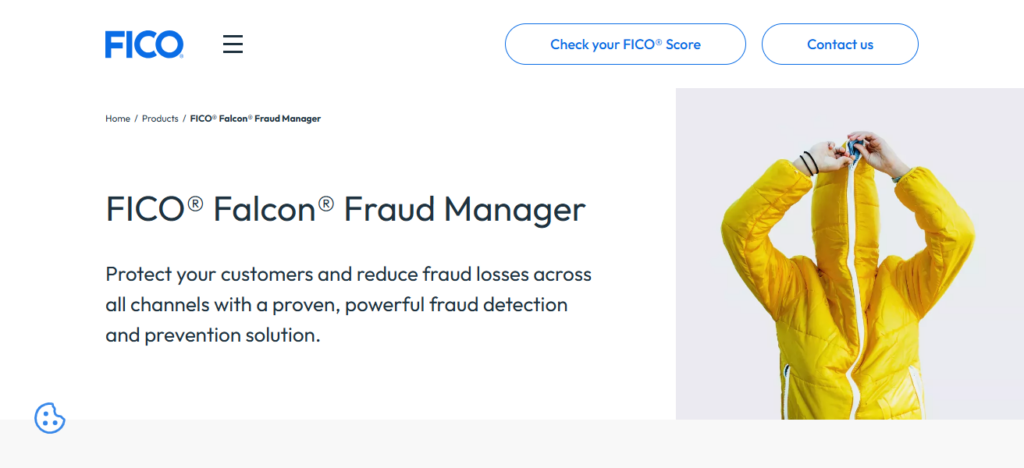  FICO Falcon