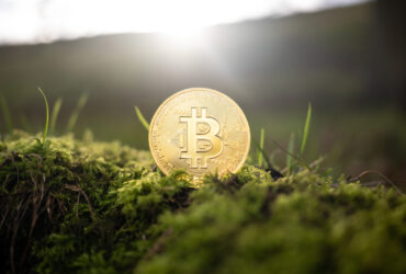 10 Best Self-Hosted Blockchain Indexers for Private Data