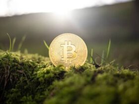 10 Best Stablecoin Infrastructure Companies in 2026