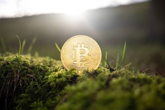 10 Best Stablecoin Infrastructure Companies in 2026