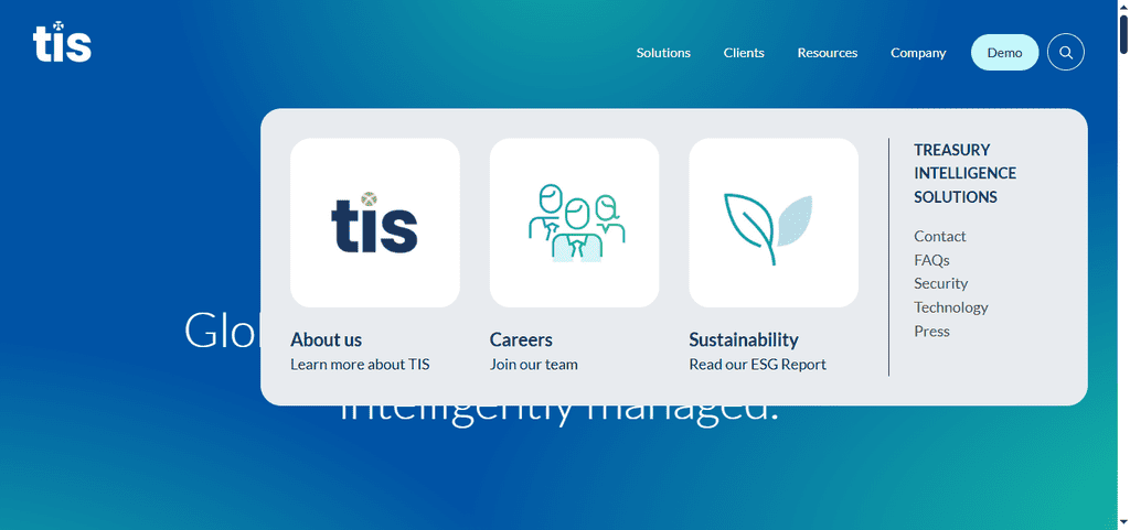 TIS — Treasury Intelligence Solutions