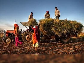 Pera Finance and the Rise of the Swap-Farming Trend