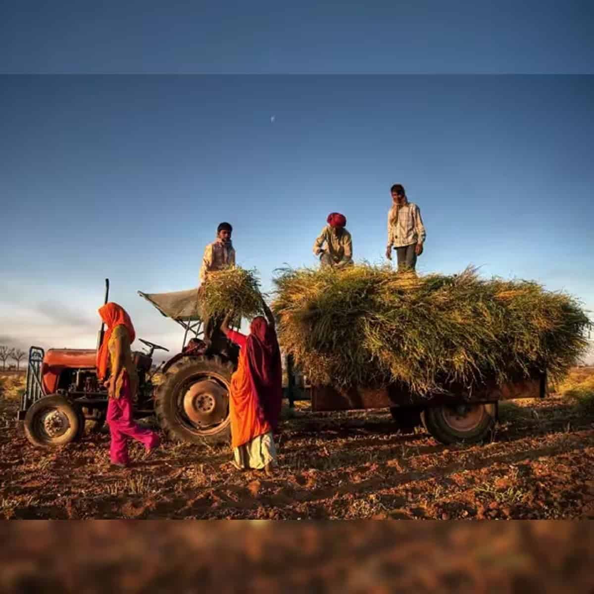 Pera Finance and the Rise of the Swap-Farming Trend
