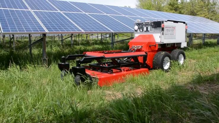 What Makes the Swap-Farming Model Different?